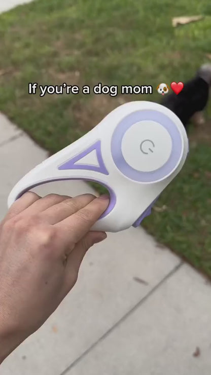 Einziehbares Hundeleinen- und Halsband-Set – Automatische Teleskop-Haustierleine für kleine bis große Hunde